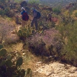 desert hiking trail