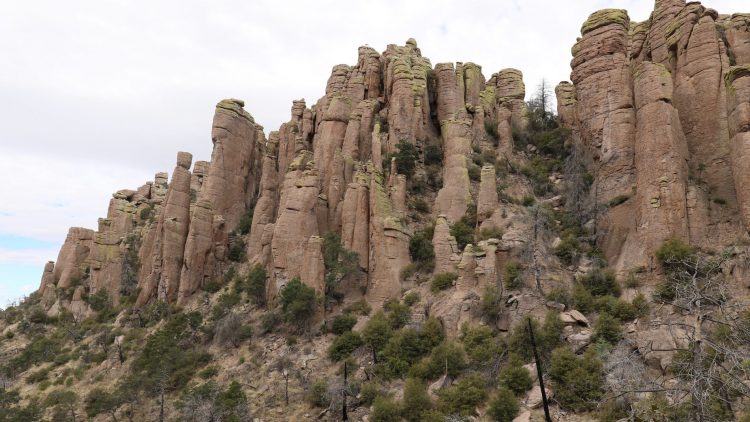 Chiricahua & The Sonoran Desert