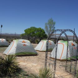 several tents in nature