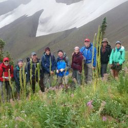 hikers in glacier national park
