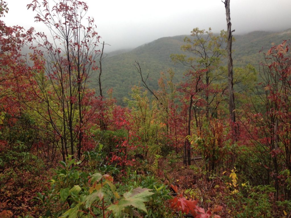 Great Smoky Mountains in the Fall