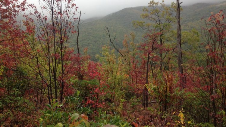 Great Smoky Mountains National Park