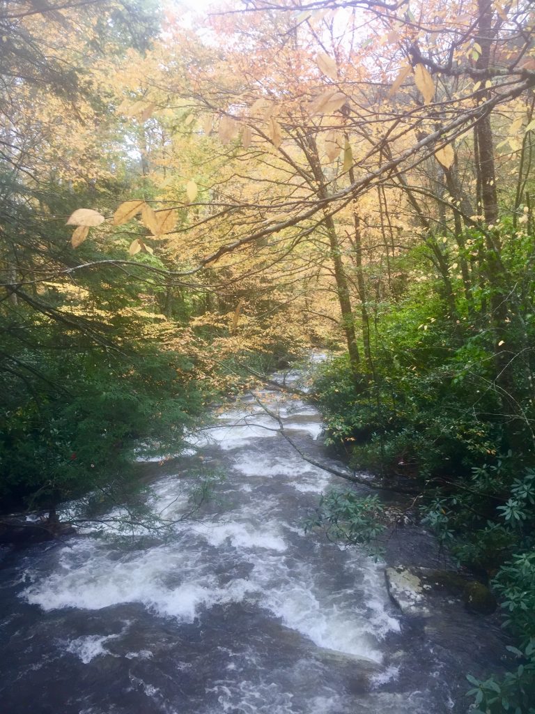 Beautiful river in nature