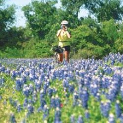 cycling through Texas bluebonnets in the springtime