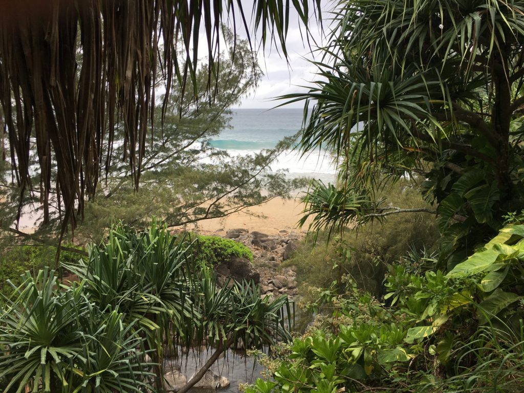 Hanakoa beach along the Kalalau Trail, Kuaai, Hawaii