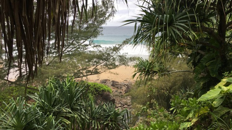 Super Hawaii: Maui and Kauai Hiking Tour