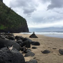 Punaluu Beach, Napali Coast, Kauai, Hawaii