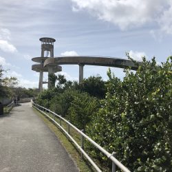 Observation Tower in Shark Valley,Everglades National Park