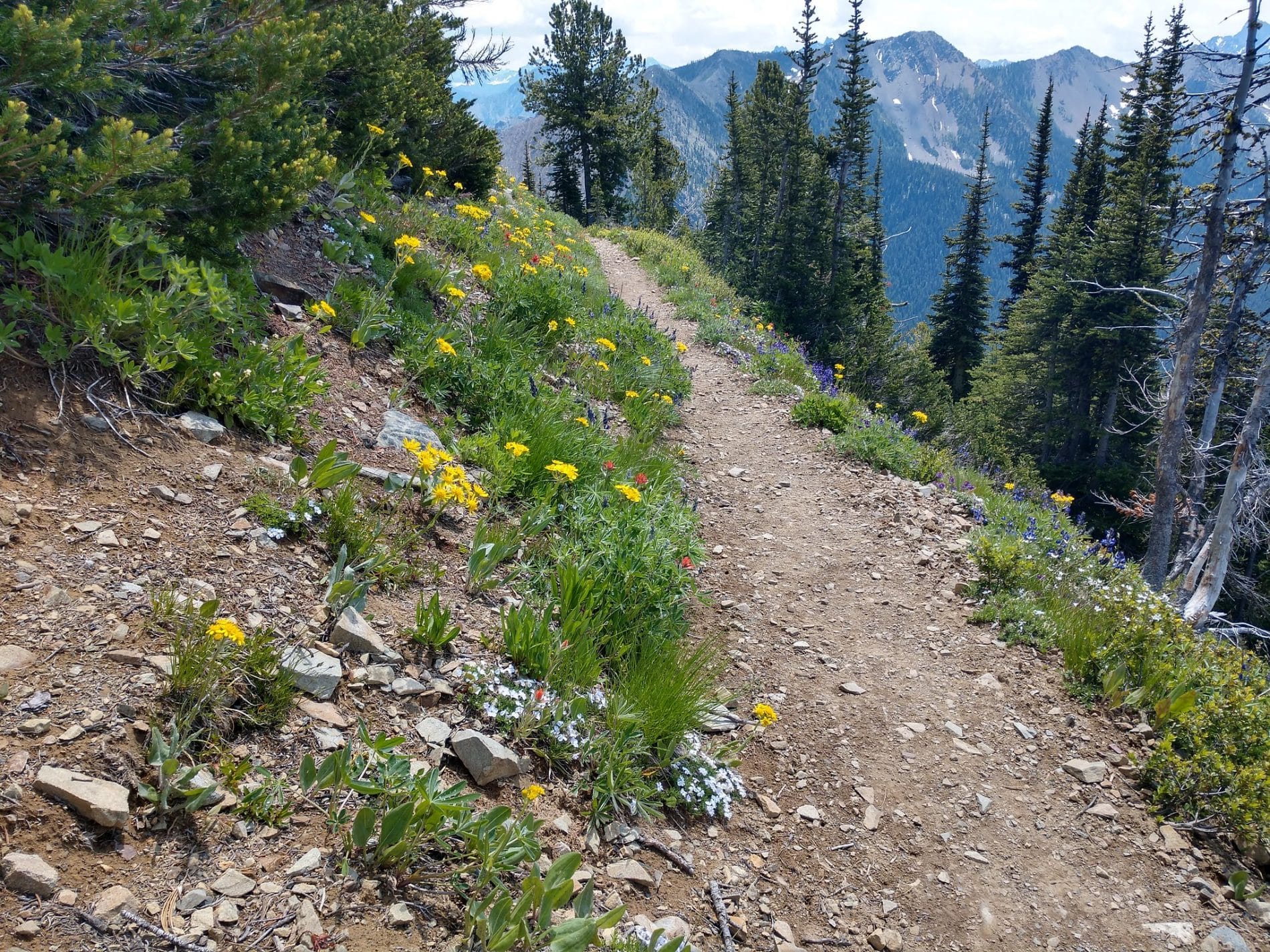 Pacific empaquetado crest trail guided tours