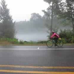 foggy road with a biker