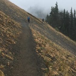 olympic national park trail