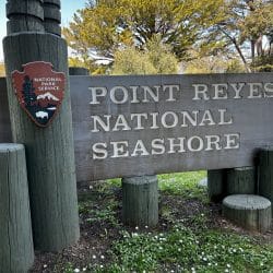 point reyes national seashore tours