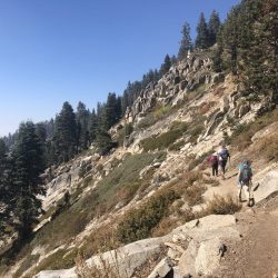 Alta hillside in Sequoia National Park