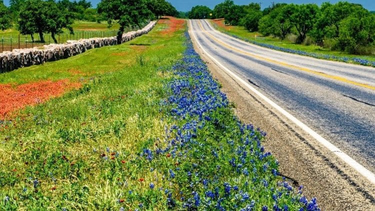 Texas Hill Country Solar Eclipse Version