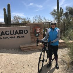 Cycling into Saguaro National Park in Southern Arizona