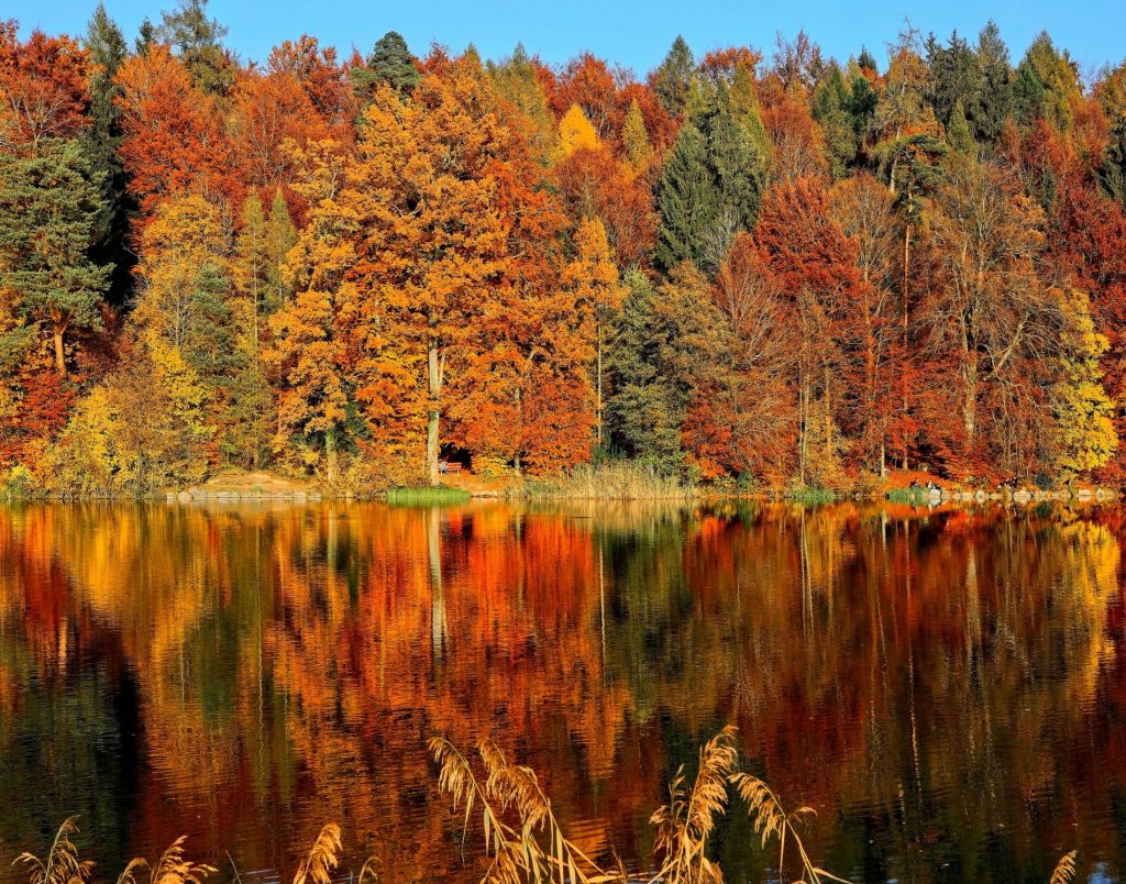 Vibrant fall colors are reflected in this Vermont lake.