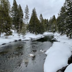 River in Yellowstone during winter surrounded by snow