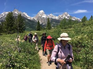 hiking for beginners