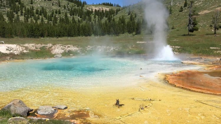 Complete Yellowstone Guided Hiking Tour