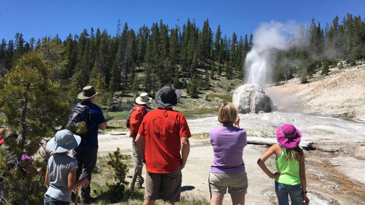 Yellowstone and Grand Teton Intro Tour