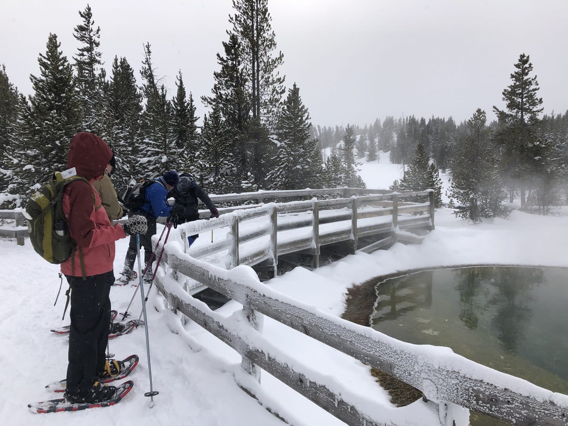 Winter scene at Morning Glory Pool Yellowstone National Park
