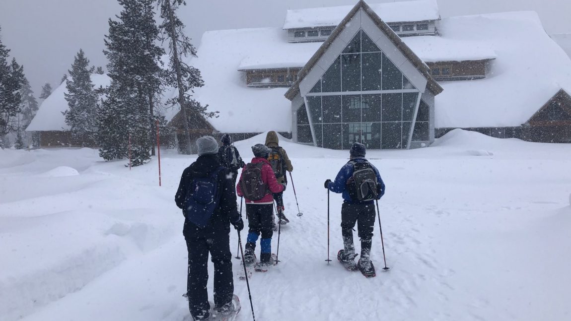 Snowshoeing in Yellowstone National Park