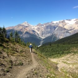 A hiker in British Columbia's Yoho National Park