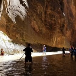 hikers in the narrows in zion