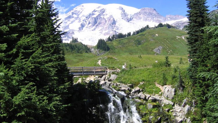 Mount Rainier National Park Hiking Tour