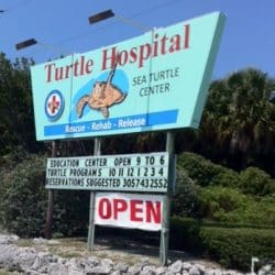 Turtle hospital sign