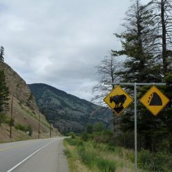 Be wary of mountain goats and avalanches while cycling through the Canadian Rockies