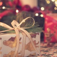sustainable green holiday gift