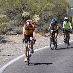 bikers on a desert road