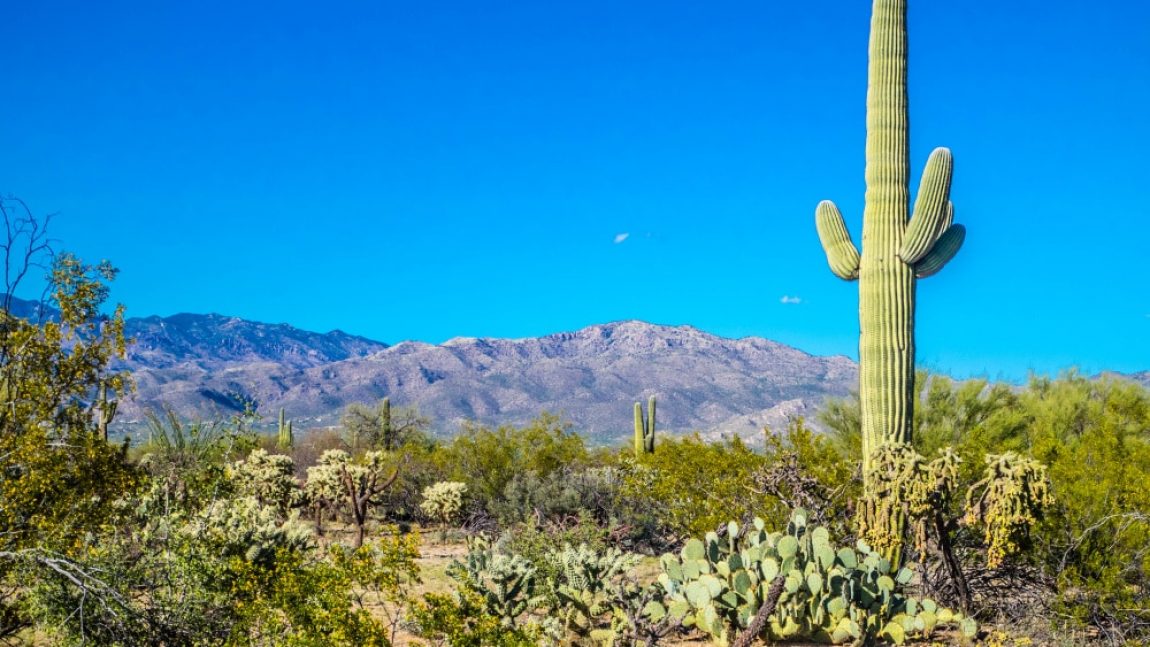 A Cyclist’s Guide to Tucson