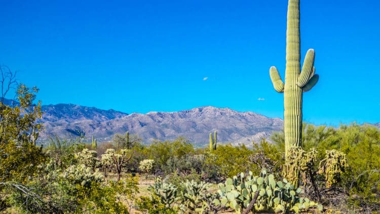 A Cyclist’s Guide to Tucson